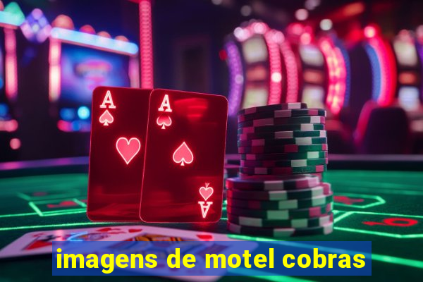 imagens de motel cobras